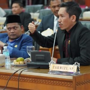 Tarmizi, SP Terpilih Sebagai Ketua Pansus IUP HGU dan Migas