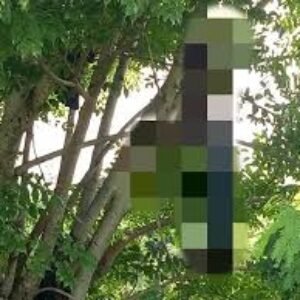 Seorang Pria Ditemukan Gantung Diri