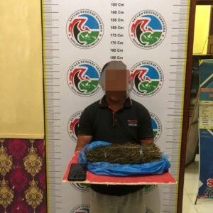 Seorang Penjual Ganja Disimeulu Dibekuk