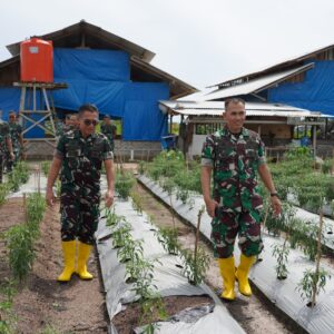 Kasdam IM : Food Estate Adalah Program Pemerintah Tingkatkan Produktivitas Pangan Nasional