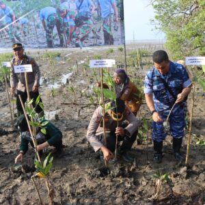 Penanaman Mangrove Nasional, Muspida Deli Serdang Ikuti Vidcon Dengan Presiden