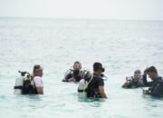 Nyelam Dilaut Singkil, Pangdam IM Tanam Terumbu Karang Hingga Lestarikan Sumber Daya Laut