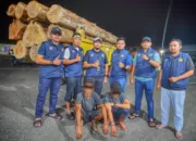 Dua Pemuda dan Truk Pengangkut Kayu Ilegal Diciduk Polisi
