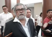 Arist Merdeka Sirait, Pejuang Perlindungan Anak, Berpulang
