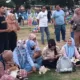 Kucing-Kucing Gemoy dan Lucu Beraksi di Blang Padang