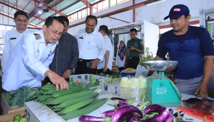 Pj Wali Kota Tinjau Harga dan Stok Bahan Pokok di Pasar Al Mahirah