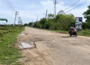 Masalah Jalan Cot Iri – Limpok, Ini Tanggapan Irmawan Anggota DPR RI