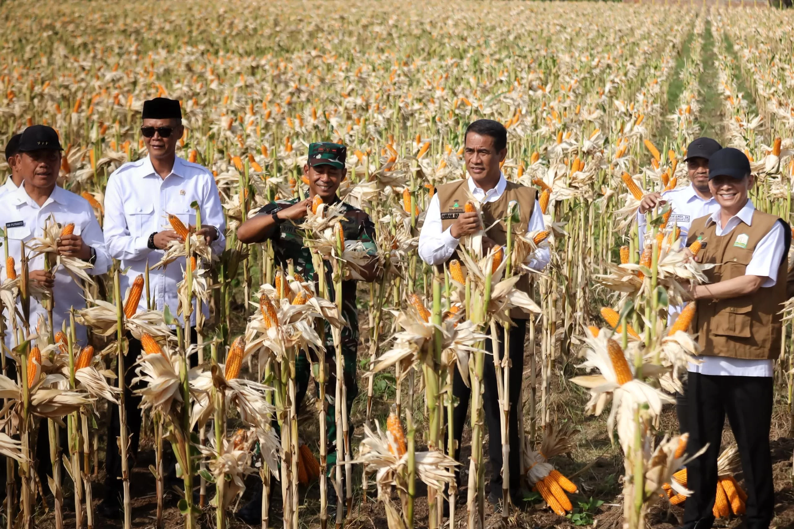 Pj Gubernur Aceh, Achmad Marzuki mendampingi Menteri Pertanian Republik Indonesia, Dr. Ir. H. Andi Amran Sulaiman, M.P. mamanen jagung di Mata Ie Desa Denong, Aceh Besar, 6/2/2024.
