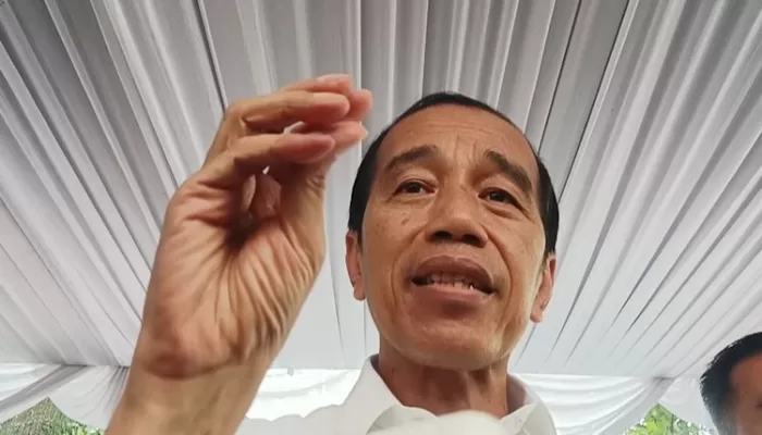 Pemerintah Sudah Siapkan Stok Beras untuk Ramadhan