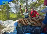 3 Hari Menjabat Sebagai Kepala BNNP Aceh, 251 Kg Ganja Terungkap