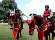 Polri Kerahkan Pasukan Berkuda dan K9 Amankan KTT WWF di Bali