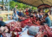 Warga Meunasah Papeun Aceh Besar Sembelih 42 Hewan Qurban