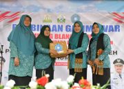 Pj Ketua TP PKK Aceh Puji Keterlibatan Aktif Masyarakat Sukseskan Program PKK di Bireuen