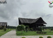 Eksplorasi Budaya di Rumoh Adat Aceh di Kota Langsa