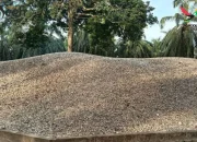 Bukit Kerang di Aceh Tamiang, Situs Bersejarah yang Menyimpan Jejak Peradaban Kuno