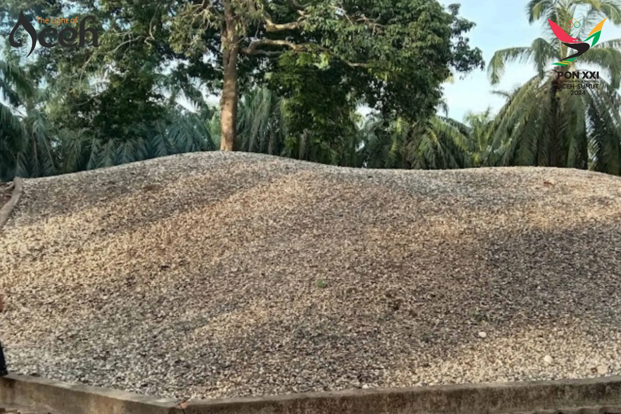 Bukit Kerang, yang terletak di Kecamatan Seruway, Aceh Tamiang [Foto/dok Habanusantara.net]