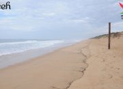 Keindahan Pantai Kuala Ketapang di Aceh Tamiang