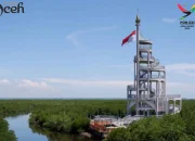 Keindahan Hutan Mangrove Langsa, Surga Ekowisata yang Memikat Hati