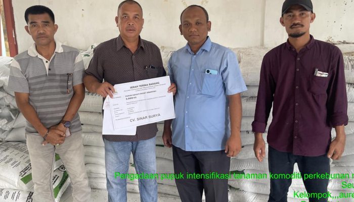 Anggota DPR Aceh Fuadri Kembali Salurkan Pupuk Sawit di Lima Kecamatan di Simeulue