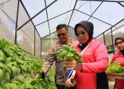 Launching P2L, Kapolda Sebar 2.000 Bibit Ikan Nila untuk Swasembada