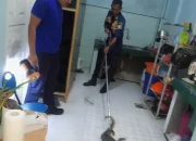 Biawak Masuk Pemukiman, Petugas Damkar Banda Aceh Bertindak Cepat