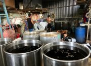 Cincau Warisan Nenek, Produksi Naik 10 Kali Lipat Saat Ramadan
