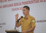 Pemerintah Aceh Fokus Pada Hilirisasi dan Industrialisasi SDA dalam RKPA 2026