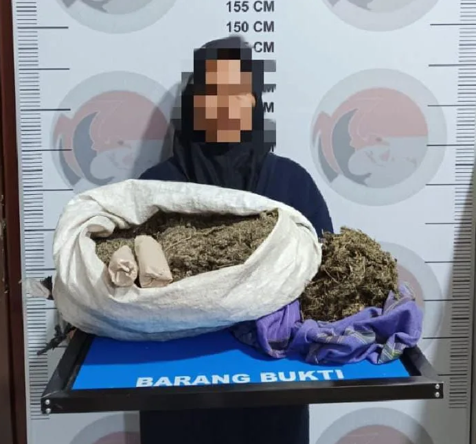 Seorang nenek berusia 57 tahun di Kabupaten Bener Meriah, Provinsi Aceh ditangkap polisi