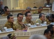 Percepat Revisi UUPA: Wakil Gubernur Aceh Bahas Dana Otsus, BUMD, dan PPPK dengan DPR RI