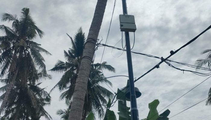 Duh… Ancam Keselamatan Warga! Kabel Listrik PLN Disambung ke Pohon Kelapa, Warga Bireuen Takut dan Terganggu