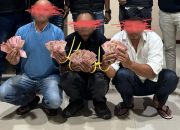 Tiga oknum yang mengaku wartawan diborgol (dok ist)