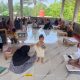 Geuchik Murhaban Pimpin Langsung Posyandu Rutin di Gampong Paya Awe, Idi Tunong