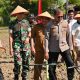 PUSDA Apresiasi Langkah AKP Anwar Polisi Bantu Petani Pidie Tingkatkan Produksi Jagung