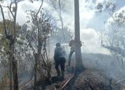 2 Hektare Kebun Warga Terbakar di Lembah Seulawah
