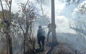 2 Hektare Kebun Warga Terbakar di Lembah Seulawah