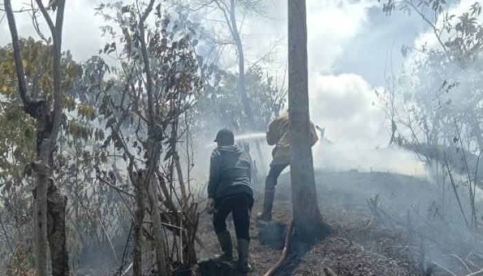Siang Terik, 2 Hektare Kebun Warga Terbakar di Lembah Seulawah