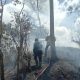 2 Hektare Kebun Warga Terbakar di Lembah Seulawah