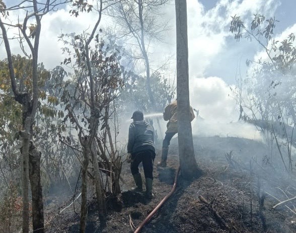 2 Hektare Kebun Warga Terbakar di Lembah Seulawah