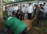 Bupati Pantau Penyembelihan 111 Hewan Kurban
