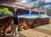 Tim Gakkum Kehutanan Amankan 12 Truk Kayu dari Somil 