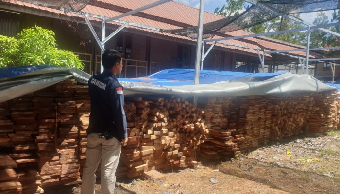 Tim Gakkum Kehutanan Amankan 12 Truk Kayu dari Somil 