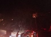 6 Hektar Kebun Warga Arul Cincin Ludes Terbakar, Api Mengamuk di Pinggir Jalan Nasional