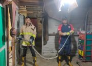 Nginap di Kamar Kosong Rumah Warga, King Kobra Sepanjang 2 Meter Ciduk BPBD
