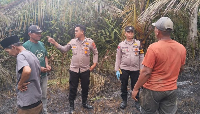 Petani di Aceh Utara Ditemukan Meninggal Dunia Saat Bekerja di Kebun