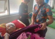 Ambil Durian di Kebun, Warga Rusip Diseruduk Gajah Liar hingga Luka Parah