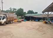 Pasar Panton Labu Dikepung Bau Busuk, Warga Mual-Mual, DLHK Buka Suara