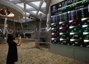 Baru IPO, Saham CDIA Sudah Meroket Ribuan Persen! Investor Pada FOMO?