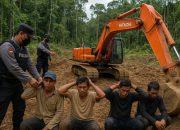 3 Penambang Emas di Hutan Geumpang Diciduk Polisi, Excavator Disita