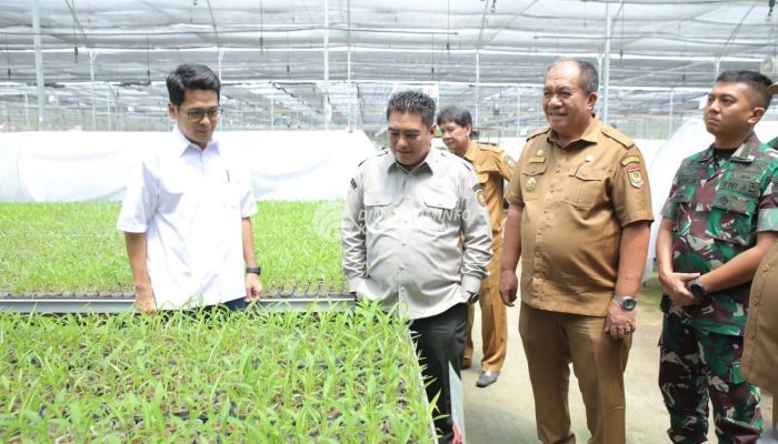 Bupati Dampingi Plt Dirjen Perkebunan Kementan RI Tinjau Lokasi