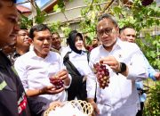 Wagub dan Menko Pangan Tinjau Koperasi Desa Merah Putih di Banda Aceh